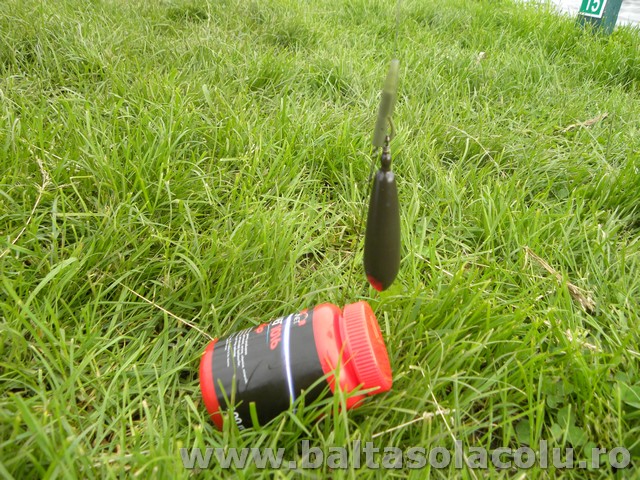 DSCN8997.jpg