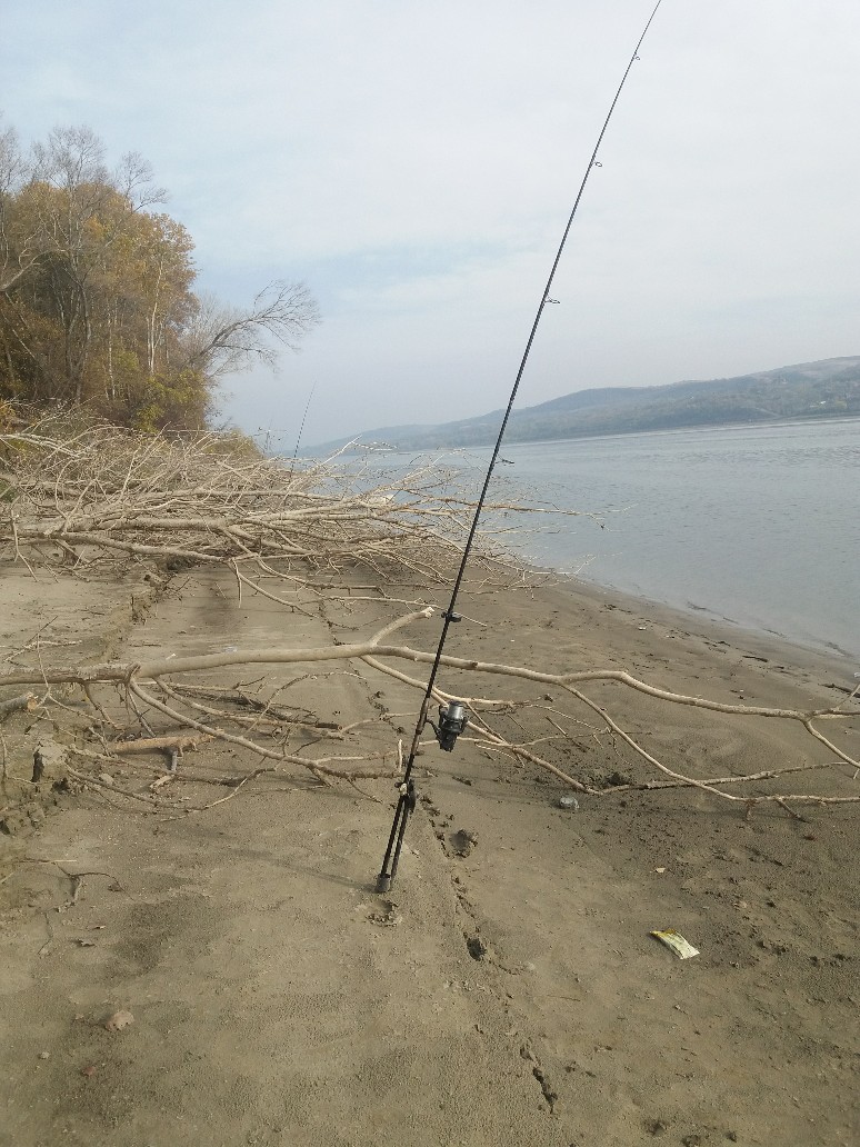 20211105_141729_copy_774x1032.jpg