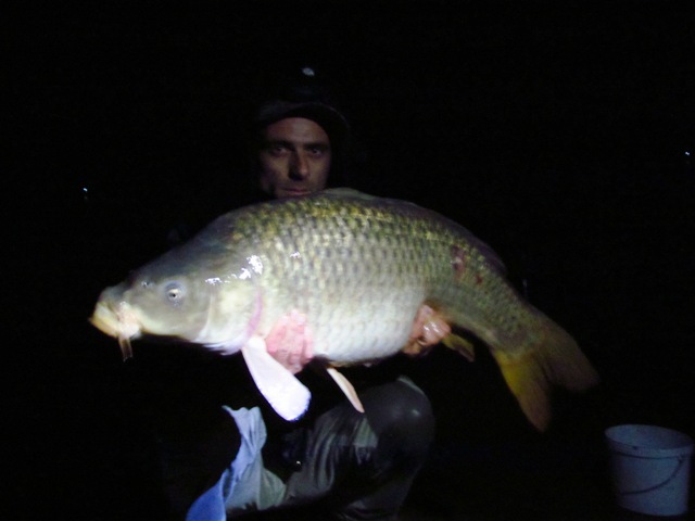 010.JPG