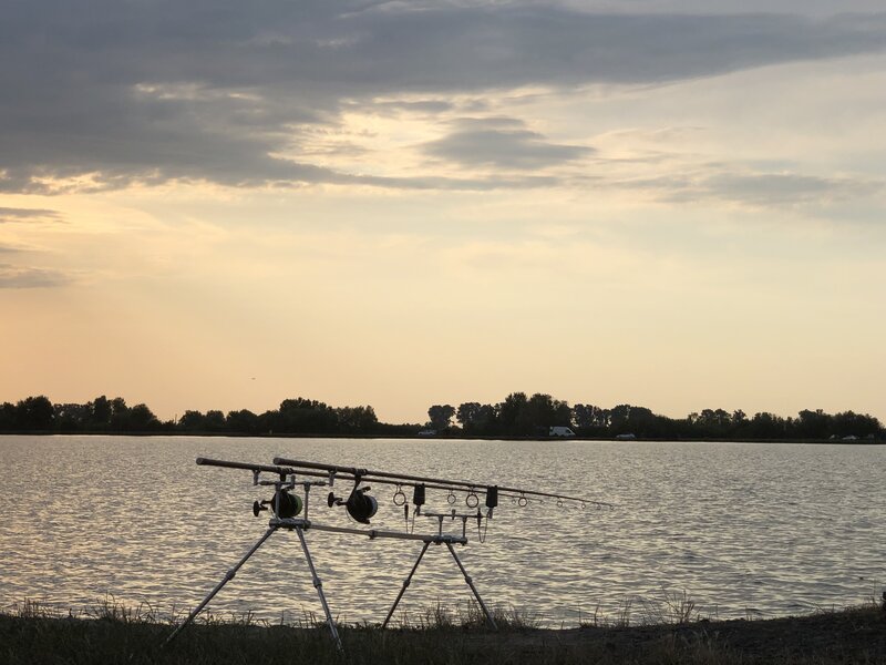 rsz_img_8241.jpg