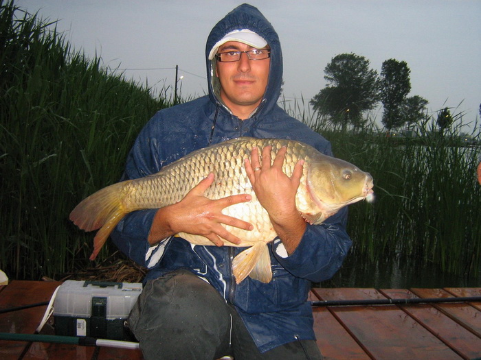 Andrei Sorescu - Pleasa.jpg