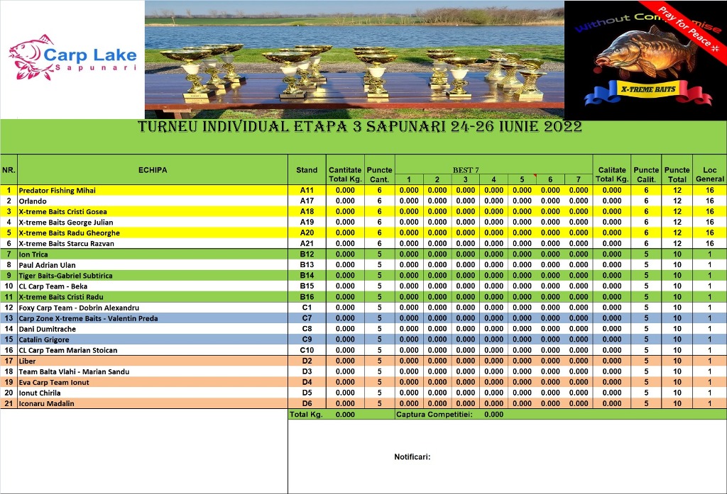 asezarea pe standuri.jpeg