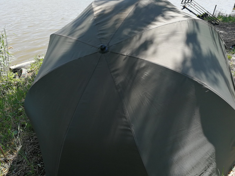 IMG_20220522_120509_resize.jpg