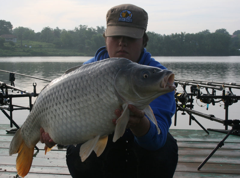 img0042kl.jpg