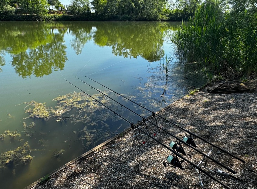 WhatsApp Image 2025-12-08 at 12.19.46.jpeg