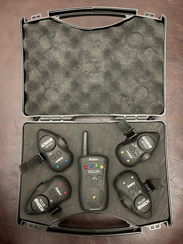 WhatsApp Image 2026-02-13 at 13.41.29 (1).jpeg