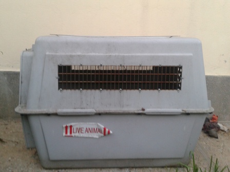 2012-06-16 20.50.25.jpg