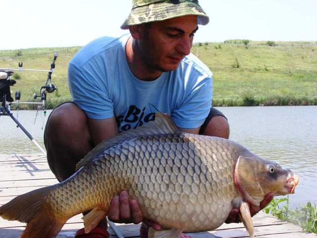 Comun 9,3 kg.JPG