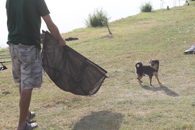 tuii si salteaua.JPG