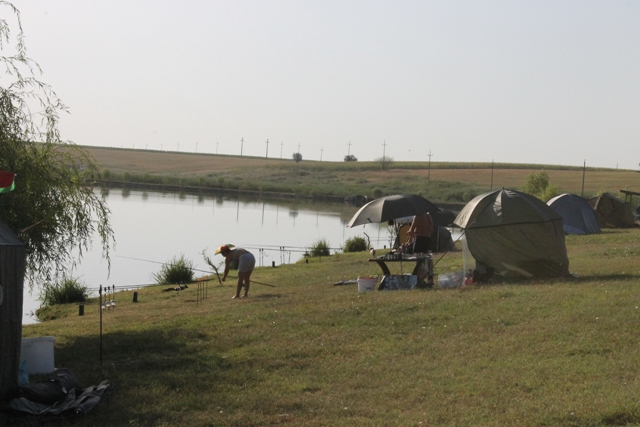 mariana grigore o.JPG