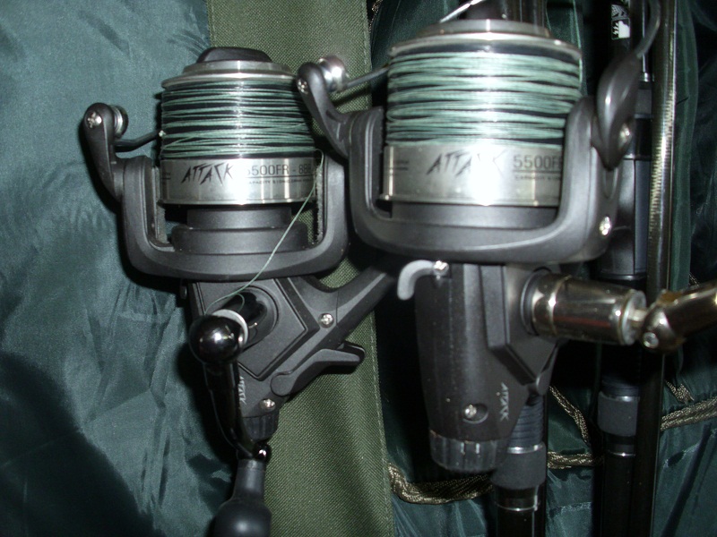 DSCI0622.JPG