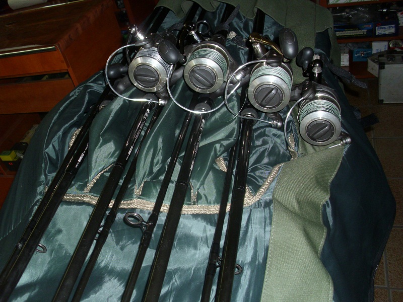 DSCI0629.JPG