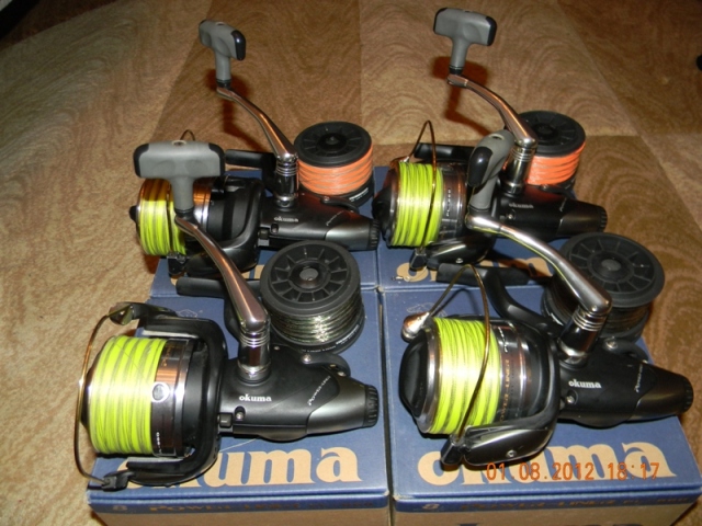 DSCN1267.jpg
