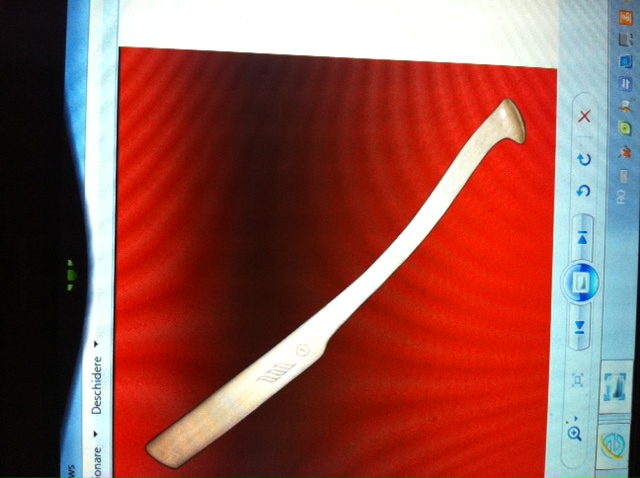 Clonc Enescu poza medie.JPG