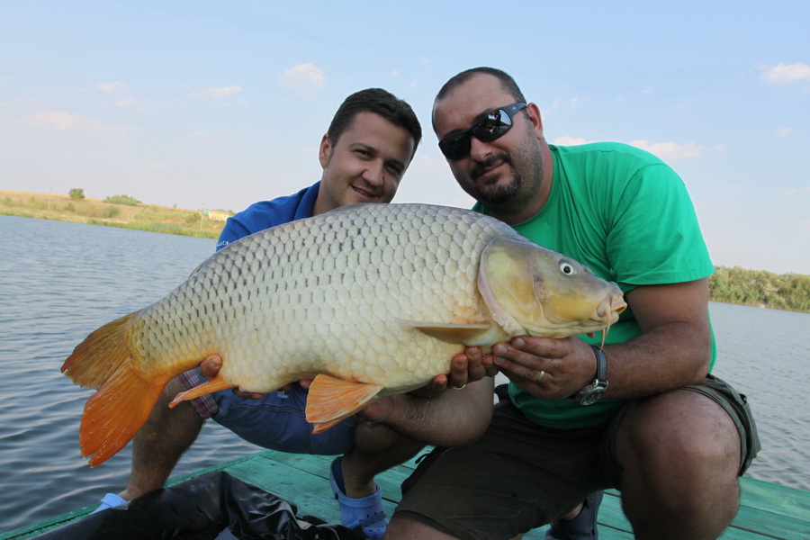 Moara%2520Vlasiei%25202%2520-%252013%2520septembrie%25202011_5_resize.jpg