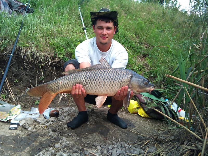 28 mai. 6.2 kg