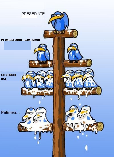 organigrama.jpg