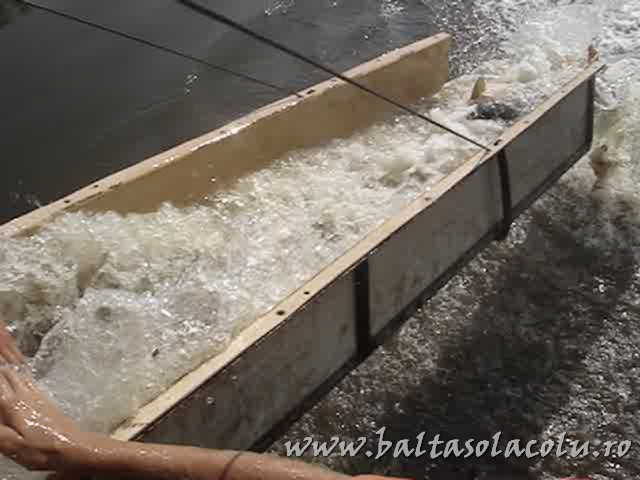 Image00001.jpg