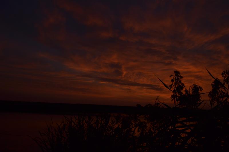 DSC_0090 (Medium).JPG