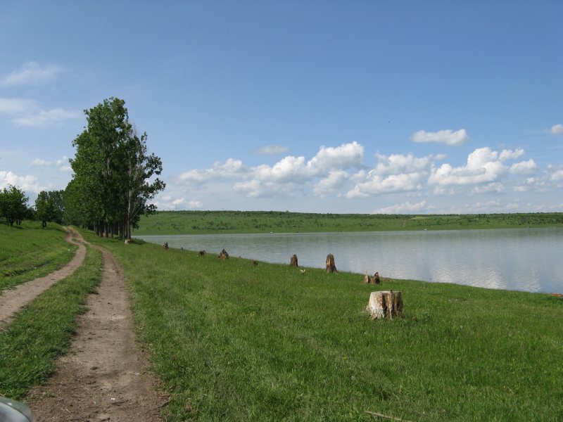 IMG_0167.jpg