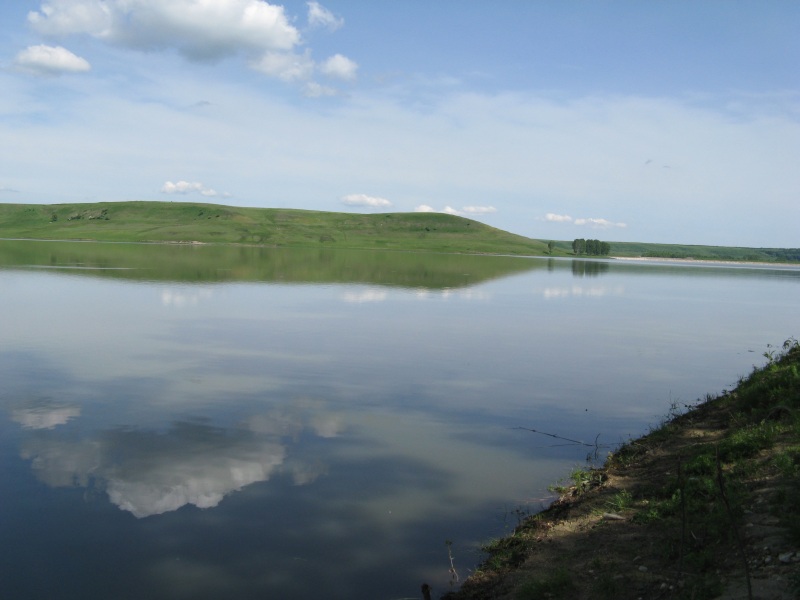 IMG_0181.jpg