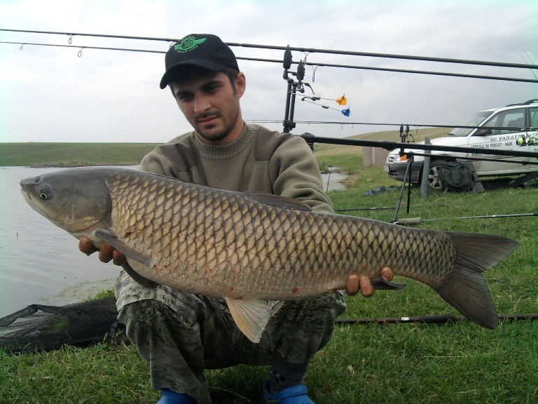 6,6 Kg, inceputul macelului