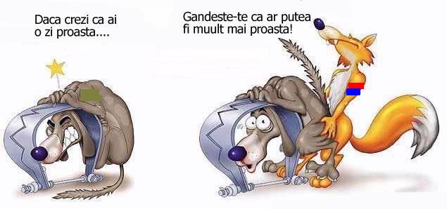 o zi f proasta.JPG