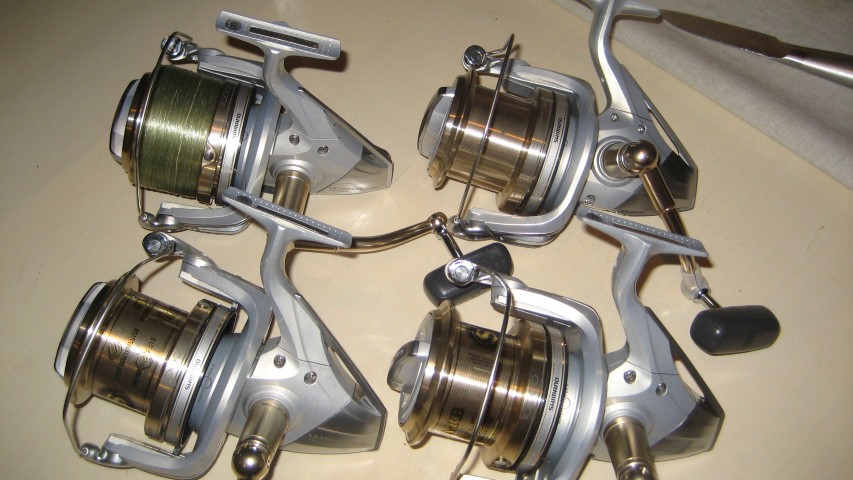 IMG_5069 (Large) (Small).JPG