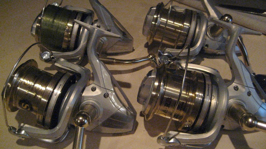 IMG_5070 (Large) (Small).JPG