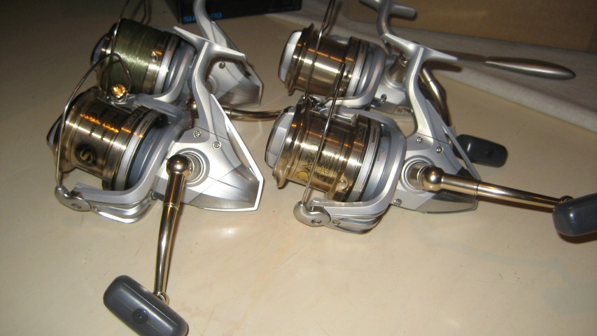 IMG_5074 (Large) (Small).JPG