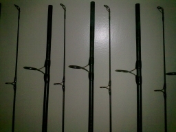 21112012309 (256x192).jpg