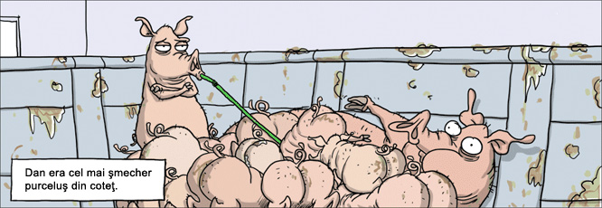 dan caricatura.jpg