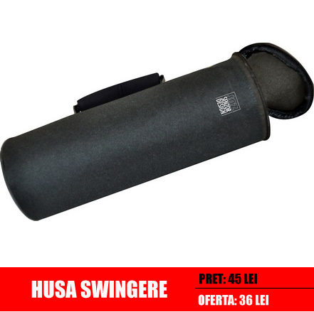 husa-swingere.PNG