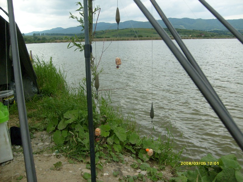 S6300672.JPG