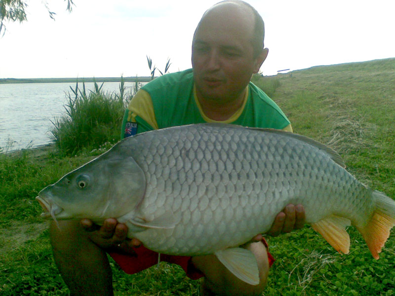 hobaia%2012%20kg.jpg
