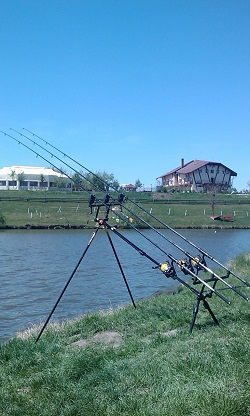 IMAG0683.jpg