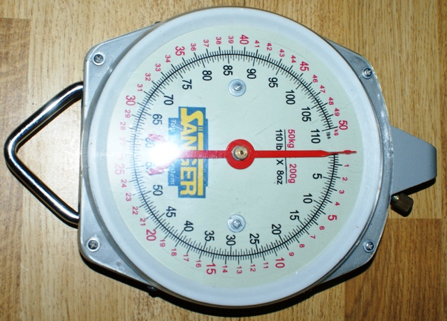 DSC06315.JPG