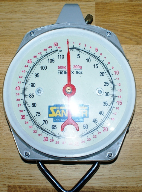DSC06316.JPG