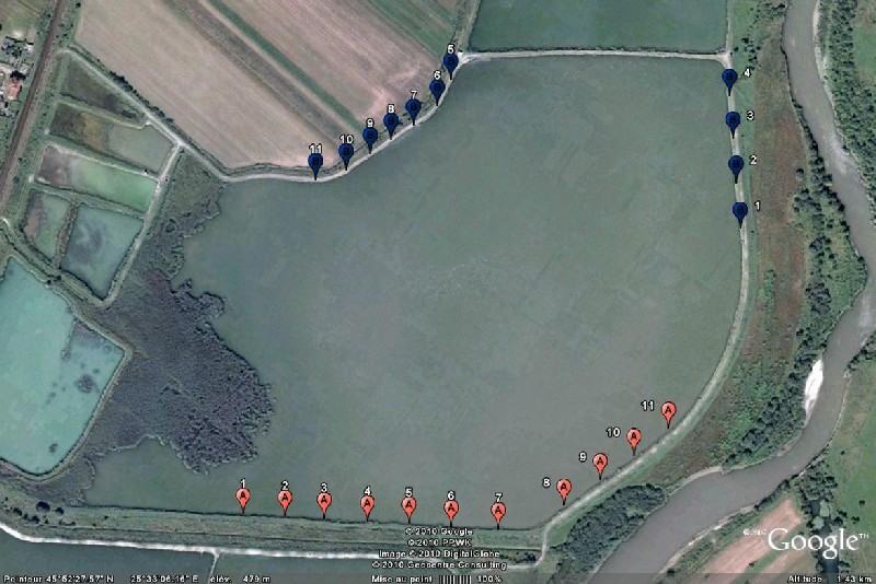 cupa transilvania.jpg