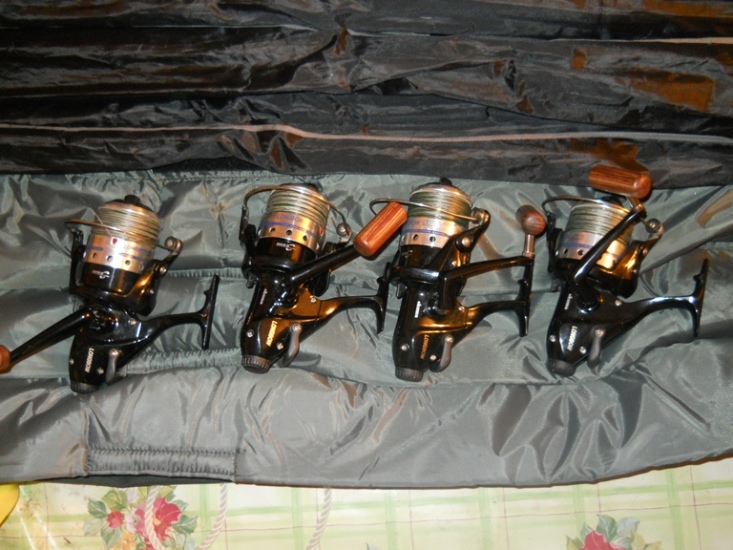 DSCN1873.JPG