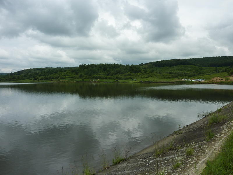 P1020197(1).JPG