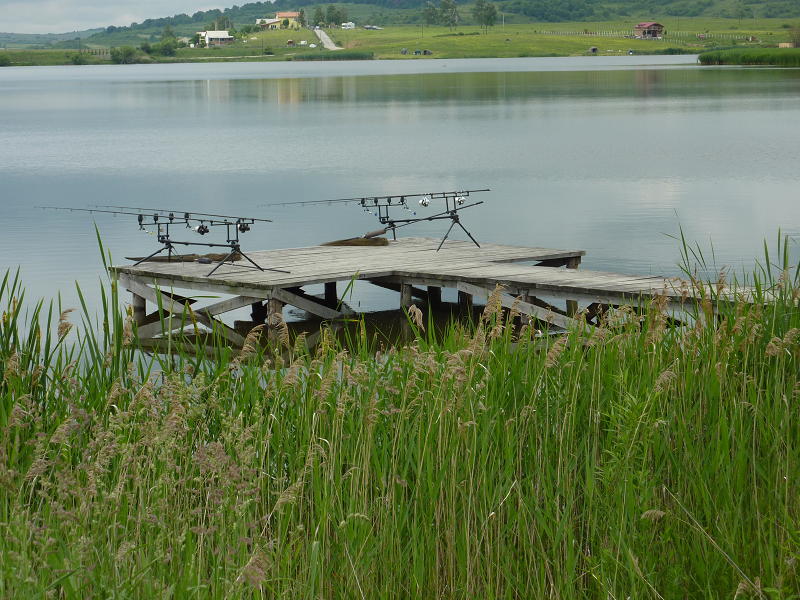 P1020205(1).JPG