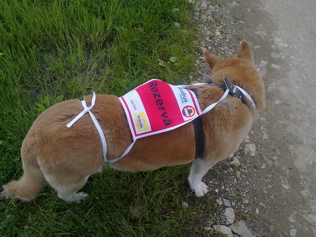 03062010494.jpg