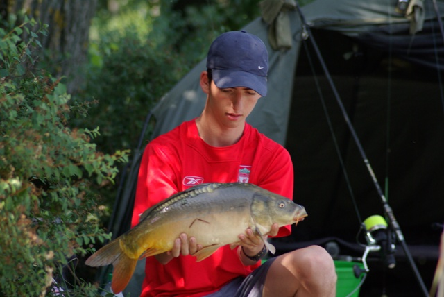 si raspunde bine.JPG