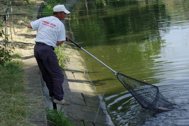 la fel si aici maty munceste pt juniorul lui.JPG