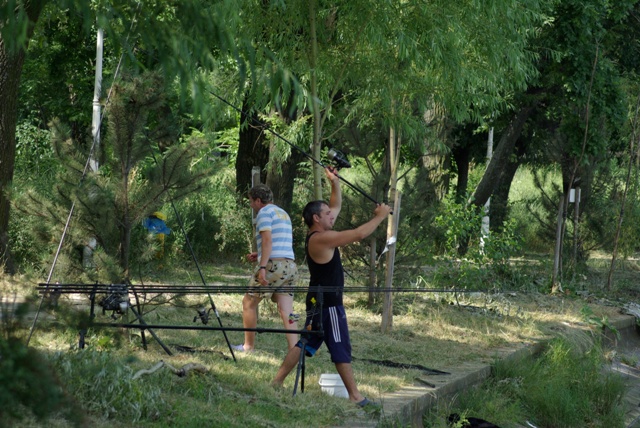 si se straduieste.........JPG