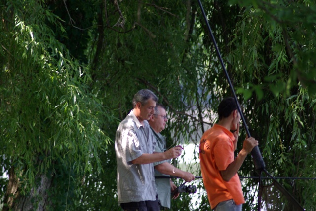 o echipa mixta.JPG