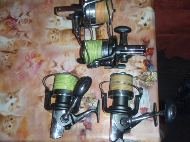 distance carp.JPG
