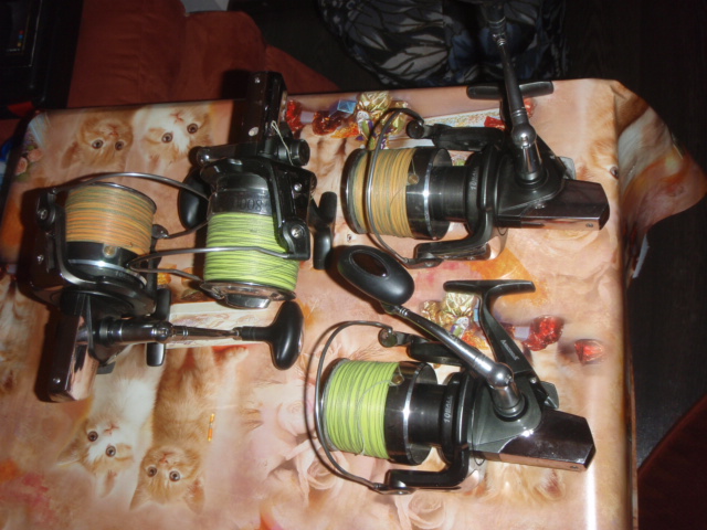 distance carp 4 buc.JPG