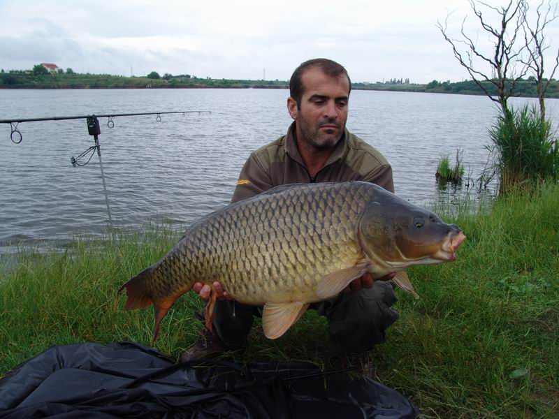 Resize of DSC00024.JPG